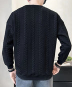 DION – sweatshirt til herrer