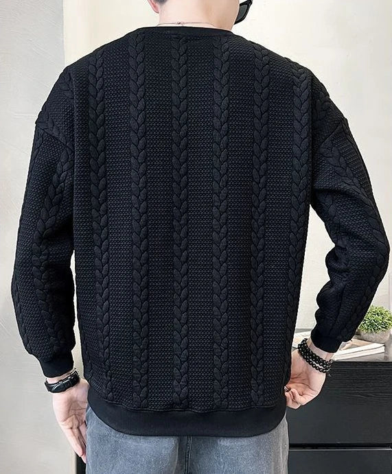 DION – sweatshirt til herrer