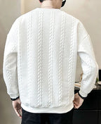 DION – sweatshirt til herrer