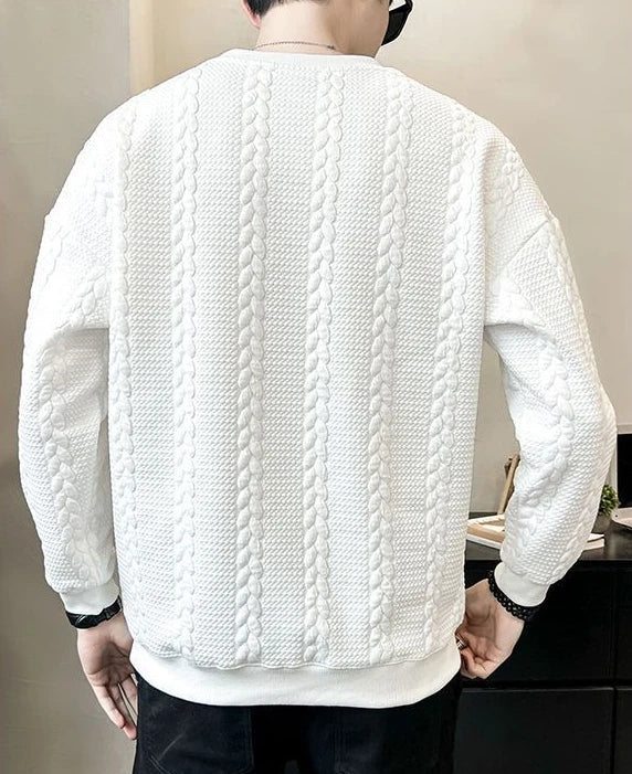 DION – sweatshirt til herrer